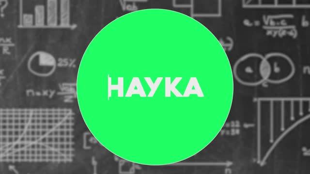 Проекты учеников Детского технопарка «Альтаир» РТУ МИРЭА