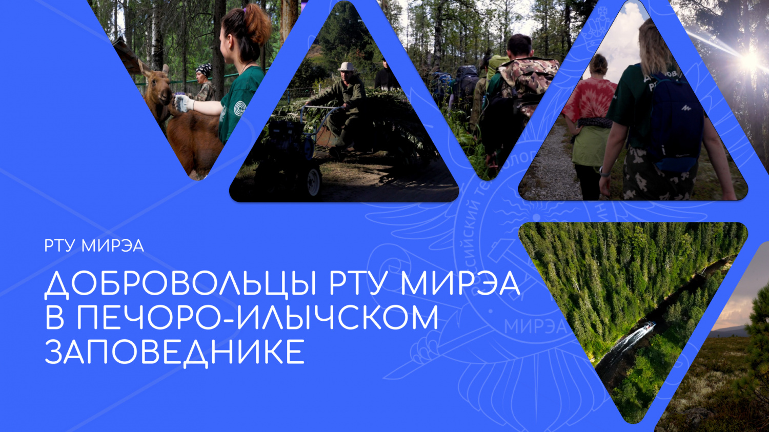 Добровольцы РТУ МИРЭА в Печоро-Илычском заповеднике