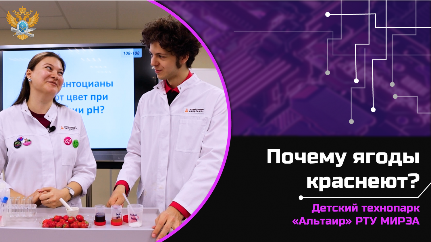 Университетские субботы в РТУ МИРЭА. Мастер-класс «Секрет красных ягод»