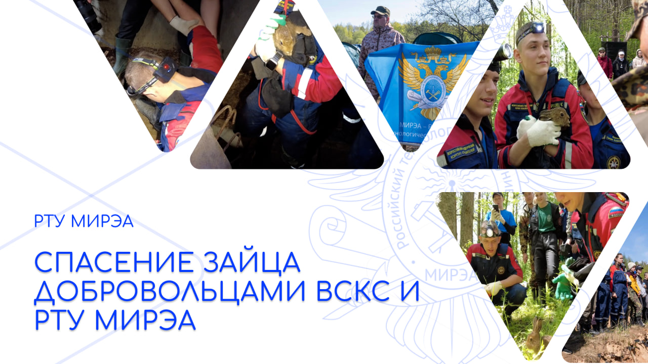 Спасение зайца добровольцами ВСКС и РТУ МИРЭА