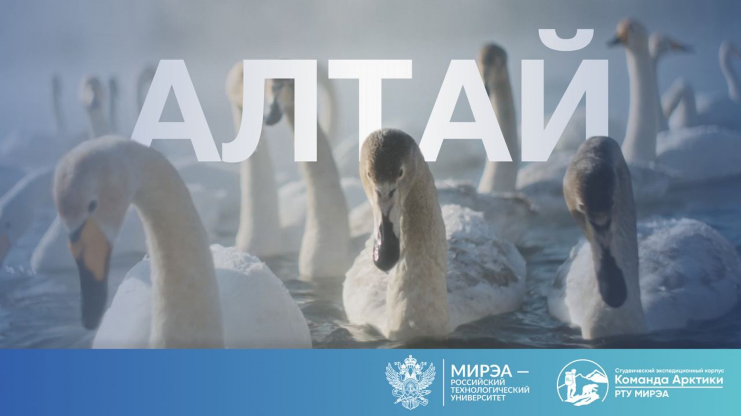 Республика Алтай | 2025