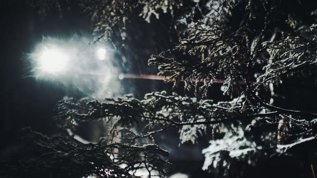 Зима в спецназе