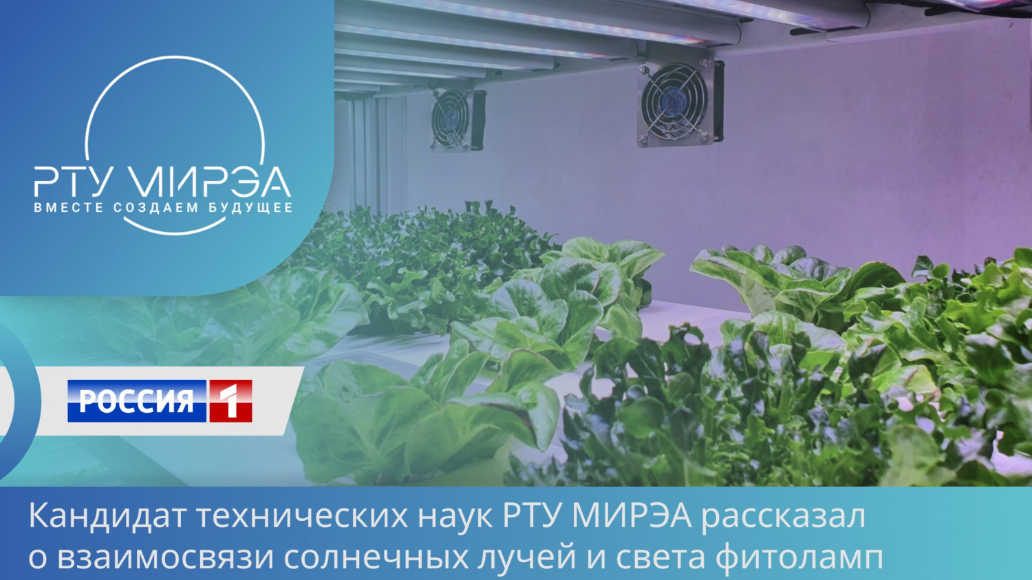 Фитолампы: урожай на подоконнике и мифы о «розовом свете»