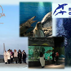 Институт технологий управления провёл круглый стол с Дальневосточным федеральным университетом