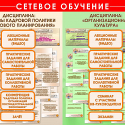 В РТУ МИРЭА успешно завершён проект сетевой формы реализации образовательных программ 