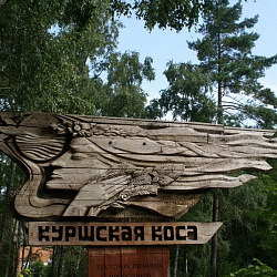 РТУ МИРЭА шестой год подряд организует волонтёрские поездки для своих студентов