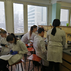 Участники Московской олимпиады школьников по химии прошли практический тур в РТУ МИРЭА