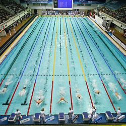 Сборная команда университета по плаванию приняла участие в соревнованиях в программе XXIX Московских студенческих спортивных игр