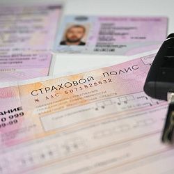 Эксперт РТУ МИРЭА предупредил о схеме с фальшивыми полисами ОСАГО