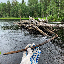 Студенты-добровольцы из РТУ МИРЭА побывали на Белом море