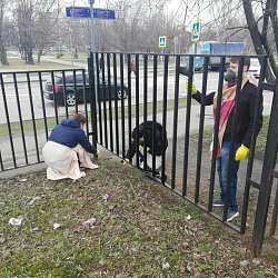 Во всех кампусах РТУ МИРЭА прошли традиционные субботники