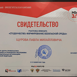 Представитель РТУ МИРЭА принял участие в семинаре о безопасной среде в вузах 