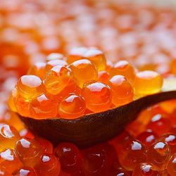 Эксперт РТУ МИРЭА объяснил правила выбора упаковки для красной икры