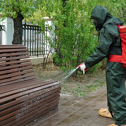 Студенты РТУ МИРЭА оказали помощь в тушении пожаров в Забайкальском крае