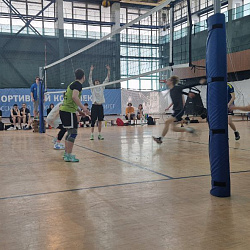 Определены победители Кубка кафедры физического воспитания по волейболу