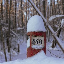 Студенты РТУ МИРЭА прибыли в Мордовию в составе «Команды Арктики» 