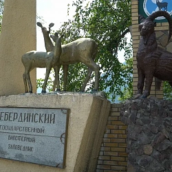 Волонтёры РТУ МИРЭА стали настоящими горцами во время поездки в Карачаево-Черкесию