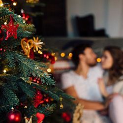 Эксперт РТУ МИРЭА рассказал о пользе живой ёлки для здоровья