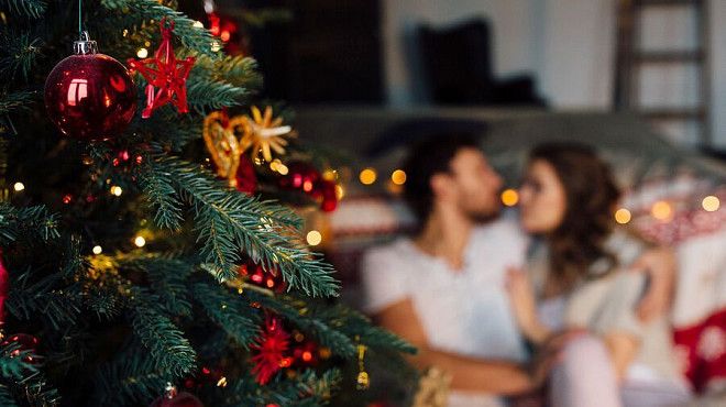 Эксперт РТУ МИРЭА рассказал о пользе живой ёлки для здоровья