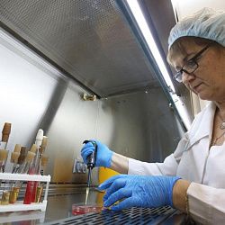 Сахар помог учёным РТУ МИРЭА создать более эффективный препарат против рака