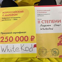 Студенты Института кибербезопасности и цифровых технологий заняли призовые места на I Всероссийском IT-марафоне «Цифровые инструменты для бизнеса – 2025»