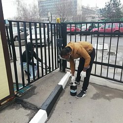 Во всех кампусах РТУ МИРЭА прошли традиционные субботники