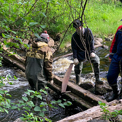 Студенты-добровольцы из РТУ МИРЭА побывали на Белом море