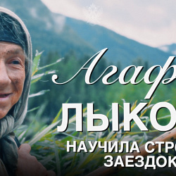 Добровольцы РТУ МИРЭА подготовили заимку Агафьи Лыковой к зиме 