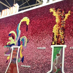 Представители ИТХТ имени М.В. Ломоносова посетили выставку «Химия – 2018» и успешно выступили на Конкурсе проектов молодых учёных