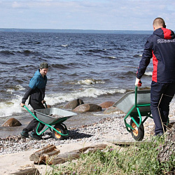 Группа волонтёров РТУ МИРЭА отправилась на Белое море
