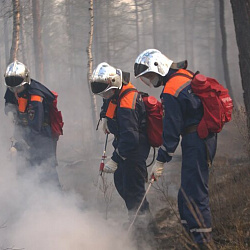 Студенты-спасатели продолжают бороться с пожарами и восстанавливать Забайкальский край
