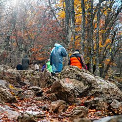 Состоялся патриотический автопробег по местам воинской славы, приуроченный к 80-летию Победы в Великой Отечественной войне