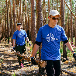 Добровольцы РТУ МИРЭА помогали восстанавливать лес на Байкале