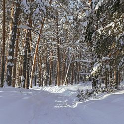 Студенты РТУ МИРЭА прибыли в Мордовию в составе «Команды Арктики» 