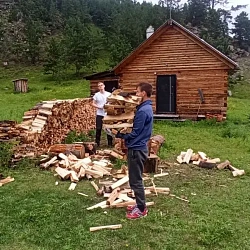 Добровольцы РТУ МИРЭА приняли участие в восстановлении леса в бухте Песчаная