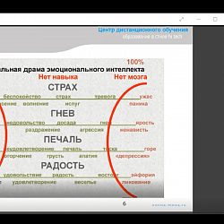 Преподавательским коллективом Института ИНТЕГУ был реализован цикл мастер-классов для студентов