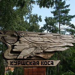 Волонтёры университета отправились в парк «Куршская коса»
