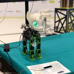 Студенты РТУ МИРЭА стали участниками форума Skolkovo Robotics. Robots&AI