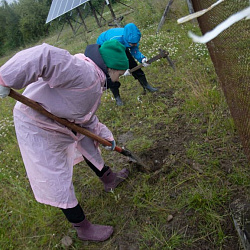 Добровольцы РТУ МИРЭА вернулись из Республики Коми