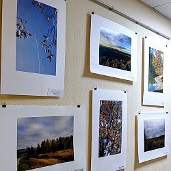 В РТУ МИРЭА открылась студенческая фотовыставка «Осенние мотивы»