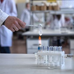 Институт тонких химических технологий имени М.В. Ломоносова подвёл итоги конкурса студентов и аспирантов «Future mentor»
