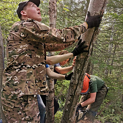 Добровольцы РТУ МИРЭА вернулись из Прибайкальского национального парка