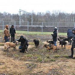 Волонтеры университета посетили питомник «Красная сосна» в национальном парке «Лосиный остров»