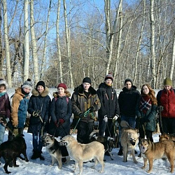 Волонтёры университета посетили приют для собак «Красная сосна»