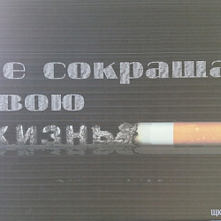 В Колледже состоялась Неделя здоровья
