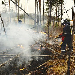 Добровольцы РТУ МИРЭА тушат пожары в Забайкалье