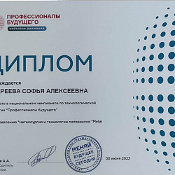 Команда Института перспективных технологий и индустриального программирования заняла первое место в Национальном чемпионате по технологической стратегии «Профессионалы будущего» по направлению «Металлургия и технологии материалов»