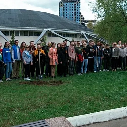 Завершилась акция «Сирень Победы» в РТУ МИРЭА