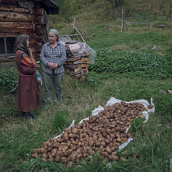 Завершилась очередная волонтёрская экспедиция МИРЭА - Российского технологического университета к отшельнице Агафье Лыковой