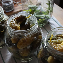 Эксперт РТУ МИРЭА предупредил об опасности домашнего консервирования